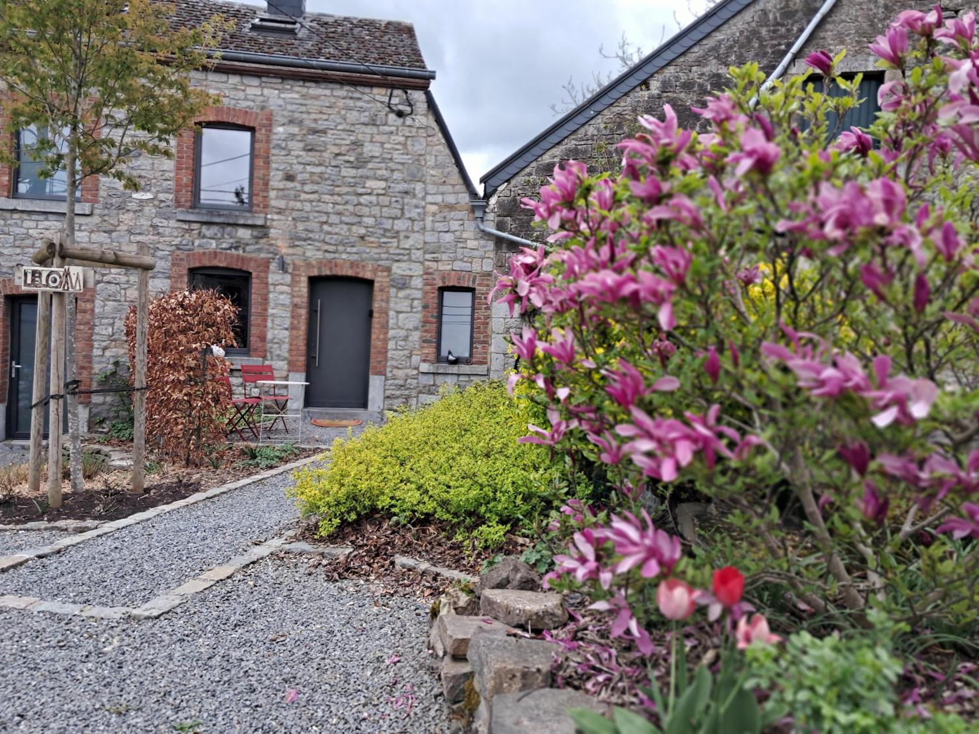 « Le Loma » Ancienne Fermette Villa Hotton Buitenkant foto